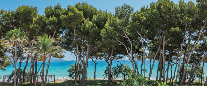 landingpage_Iberostar_Galerie01_20230828
