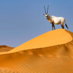 2_Nam_800x600_0626