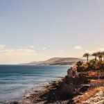 Condor_Slider_Fuerteventura800x600_20260715